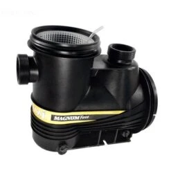 Carvin - Magnum Force Body With Plugs After 2/1/03