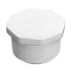 Pentair - 1-1/2 Inch Plug -Clean Pool Supply 2 inch Plug