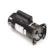 Century A.O. Smith - 48Y Square Flange 1-1/2 HP Up-Rated Pool Filter Motor, 16.0/8.0A 115/230V