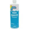 In The Swim - Black Algaecide 1 Qt. -Clean Pool Supply Black Algaecide
