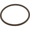 All Seals - Replacement Lid Cover O-Ring For Hayward CL100/CL110, Viton -Clean Pool Supply CL110 Viton