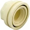 Hayward - Connector, End-Threaded -Clean Pool Supply Connector End Threaded