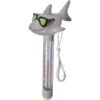 International Leisure Products - Cool Shark Pool Thermometer -Clean Pool Supply Cool Shark Pool Thermometer
