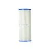 Pleatco - PRB25-IN Filter Cartridge For Dynamic RDC-25/RDC-25S/RTL/RCF-25/DFM/DFML -Clean Pool Supply DFML