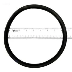Epp - Gasket, Filter Head