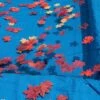 Swimline - 16' X 32' Rectangle In Ground Pool Leaf Net Cover 1 Swimline - 16' X 32' Rectangle In Ground Pool Leaf Net Cover -Clean Pool Supply In Ground Pool Leaf Catchers 36
