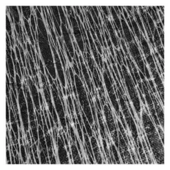 Micro Mesh 16' X 32' Oval Winter Pool Cover With 50 Cover Clips -Clean Pool Supply Micro Mesh Winter Pool Cover 16x32 ft Oval 1