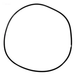 Pentair - O-Ring