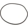 Pentair - O-Ring, Strainer Cover 2 Pentair - O-Ring, Strainer Cover -Clean Pool Supply O Ring Strainer Cover