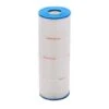 Pleatco - PCC80 Replacement Filter Cartridge For Pentair Clean & Clear Plus 320 -Clean Pool Supply PCC80 Replacement Filter Cartridge for Pentair Clean Clear Plus 320