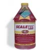 EasyCare - Scaletec Plus Descaler And Stain Remover 64 Oz -Clean Pool Supply Scaletec Plus Descaler and Stain Remover 64 oz