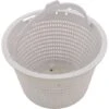 CMP - Skimmer Basket Generic Replacement For B-9, Hayward SP1070 -Clean Pool Supply Skimmer Basket Generic Replacement for B 9 Hayward SP1070